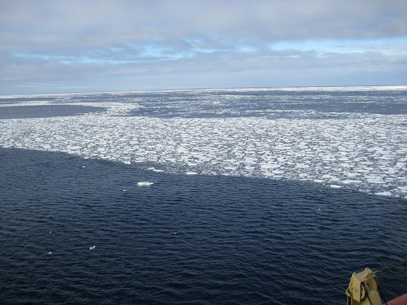 Pancake bands closer to the ice edge.jpg